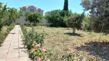 Aparat bağlarının girəcəyində əsas yoldan 100 metr məsafədə sakit məhəllədə bag evi satilir, -9