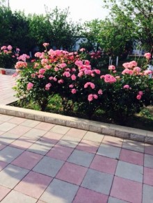 Aparat bağlarının girəcəyində əsas yoldan 100 metr məsafədə sakit məhəllədə bag evi satilir, -13