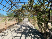 An old 2-story garden house built on 32 sot of land is for sale in Shagan region, -4
