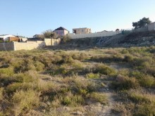 novxani-deniz-yaxinliginda-torpaq-satilir30-sot-s
