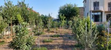 Villa Novxanı bag evleri massivinde yerləşir və bütün əşyaları ilə birlikdə satılır, -6