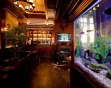 Commercial Property close to olimpic star, -10