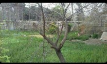 sale-land-baku-binagadi-m-rasulzade-16-1674305768-s