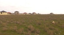Məhəmmədi torpaq satisi, -9