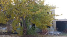 Novxanıda dənizə yaxın bağ evi almaq, -9
