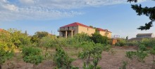 Novxanıda Aparat bağlarının üst hissəsində heyet evi, -5