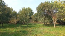 satilir-torpaq-baki-abseron-novxani-azadliq-10-1675080894-s