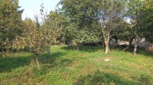 Novxani belediyye terefde torpaq satisi, -3