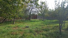 Novxani belediyye terefde torpaq satisi, -4