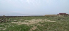 Novxani duz golune yaxin torpaq almaq, -2