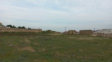 Novxani duz golune yaxin torpaq almaq, -4