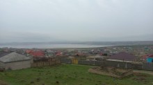 Novxani duz golune yaxin torpaq almaq, -5