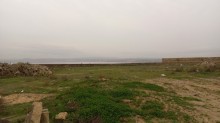 Novxani duz golune yaxin torpaq almaq, -10