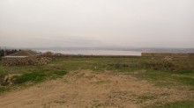 Novxani duz golune yaxin torpaq almaq, -11