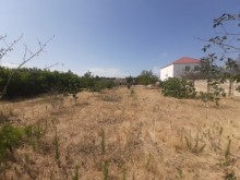 Novxanida yola yaxin topraq satisi, -12