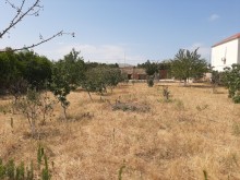 Novxanida yola yaxin topraq satisi, -13