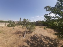 Novxanida yola yaxin topraq satisi, -15