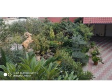 Villa house for sale Binagadi district, Baku, -3