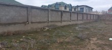 Torpaq almaq, Bakı, Şüvəlan q., -2