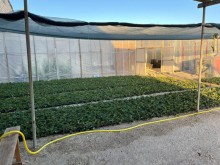 Sale Commercial Property, -5