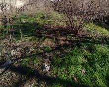 Kristal şadlıq sarayı yaninda Torpaq, -5