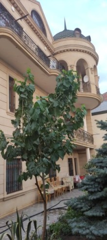 sale-7-room-cottage-baku-xatai-haslanov-3-1679490666-s