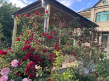 A 2-storey country house is for sale in the Masazir, -2