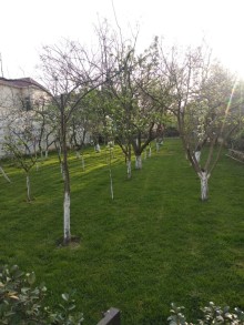 buy house in baku garden novkhani, -20