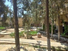 A 2-story garden house full of pine trees in Baku, -8