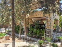 A 2-story garden house full of pine trees in Baku, -19