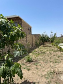 Şüvəlan Gülçülük savxozunda bag evi, -7