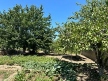 Şüvelan Park ve "Mc Donalds"i kecdikden sonra Torpaq, -5