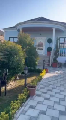 nardaranda bag evleri FOTO+VİDEO, -13
