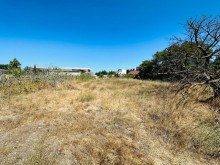 Sale Land, -5