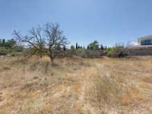 Sale Land, -6