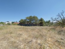 Sale Land, -8