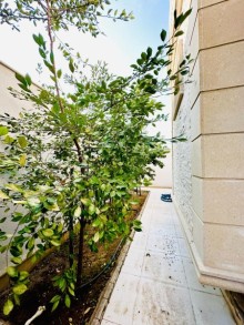 azerbaijan house for sale | baku villas, -6