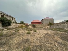 buzovnada torpaq almaq, -3