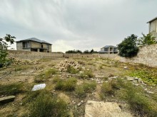 buzovnada torpaq almaq, -4