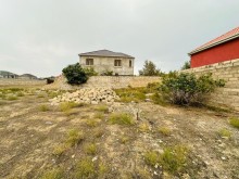 buzovnada torpaq almaq, -6