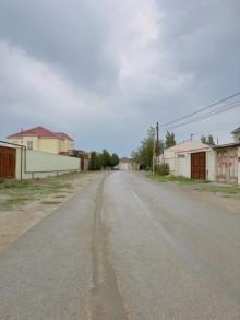 buzovnada torpaq almaq, -10