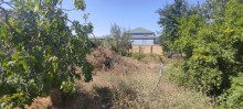 Novxani baglari, torpaq sahesi 9 sot, -2