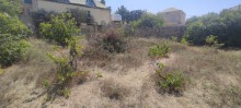 Novxani baglari, torpaq sahesi 9 sot, -3
