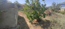 Novxani baglari, torpaq sahesi 9 sot, -4