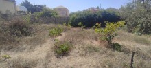 Novxani baglari, torpaq sahesi 9 sot, -5