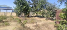 Novxani baglari, torpaq sahesi 9 sot, -6