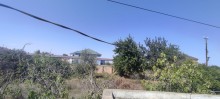 Novxani baglari, torpaq sahesi 9 sot, -7