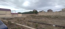 Novxanı  Aparat bağlarının sonunda Torpaq, -2
