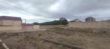 Novxanı  Aparat bağlarının sonunda Torpaq, -3
