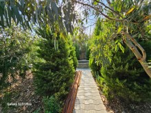 Baku estates A magnificent garden in Baku, -5